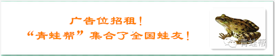 面对“疫情”黑斑蛙（青蛙）生态养殖业何去何从