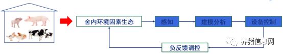 致富养殖养猪技术怎么样_养殖致富养猪技术_养猪致富经