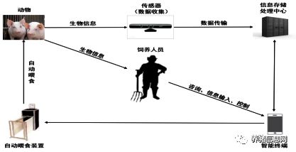 养殖致富养猪技术_养猪致富经_致富养殖养猪技术怎么样