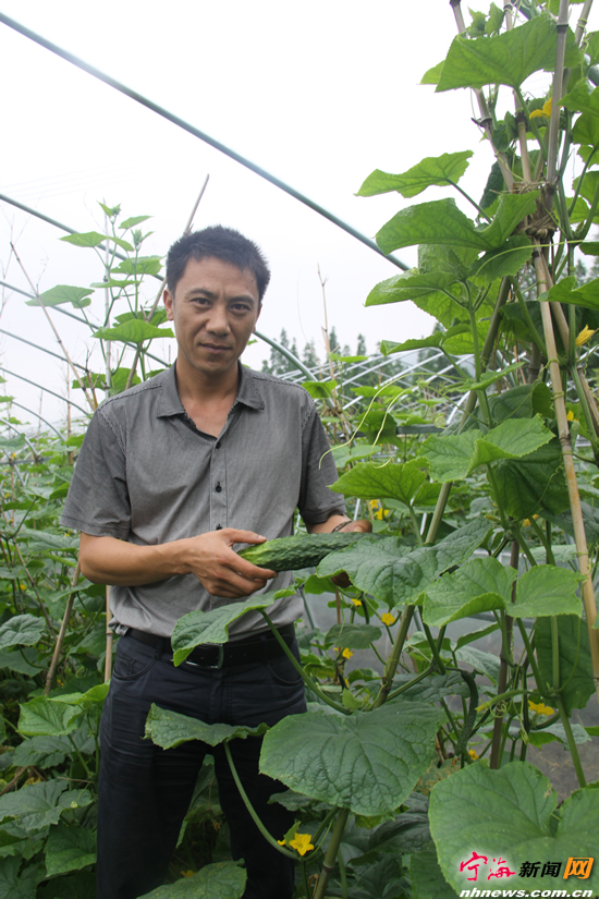 致富种植生态行业现状_种植业致富项目前景好_生态种植致富行业