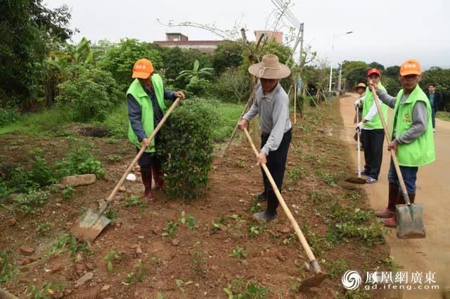 两头乌养殖_致富经散养两头乌_两头乌价格