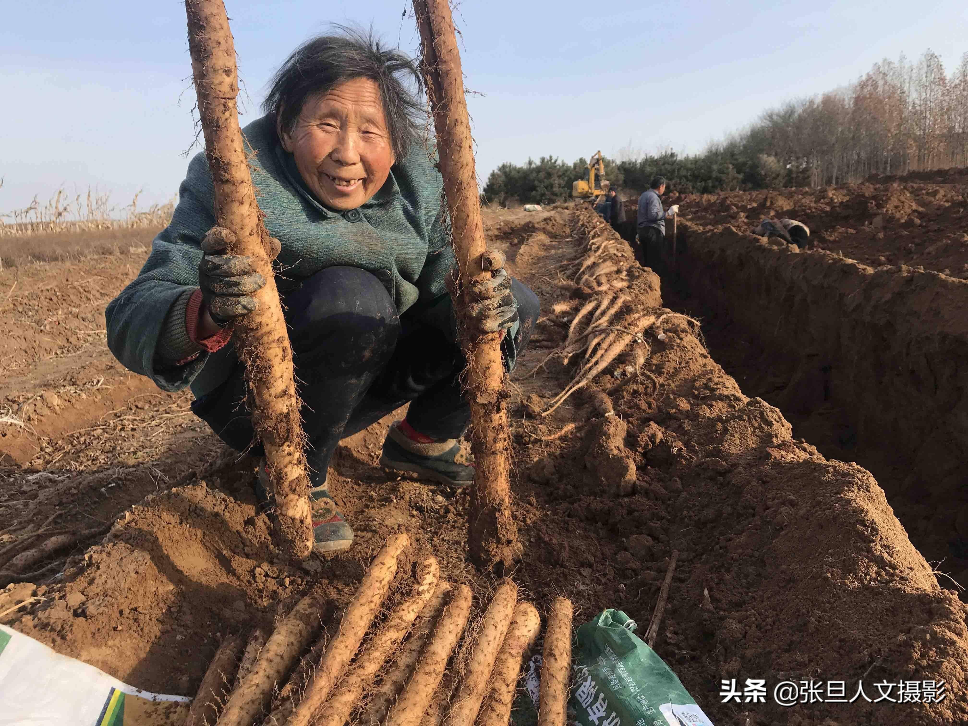 55岁农村大叔5年前悟出致富的门道 守在自家地 每年轻松挣到十几万