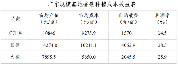 种植利润龙眼技术规范_种植龙眼需要什么条件_龙眼种植技术和利润