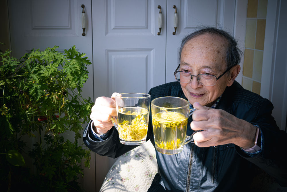 沙画视频丨“茶教授”26年千里奔走教种茶