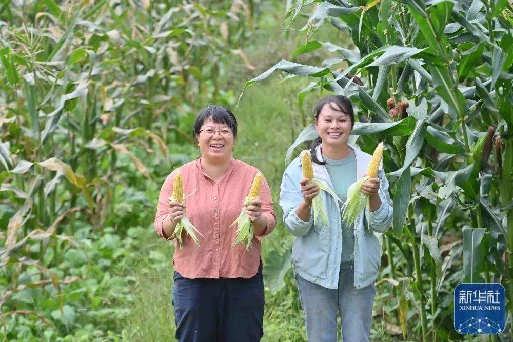 致富经大学生_大学生致富的故事_大学致富之路