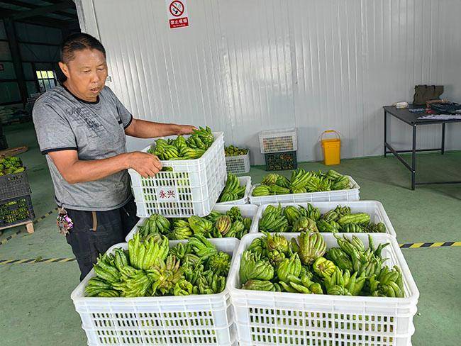 自贡养殖什么效益最快_自贡养殖致富项目_自贡养殖企业名录