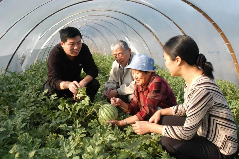 河北西瓜基地在哪_河北露地西瓜种植技术_西瓜河北种植露地技术要求