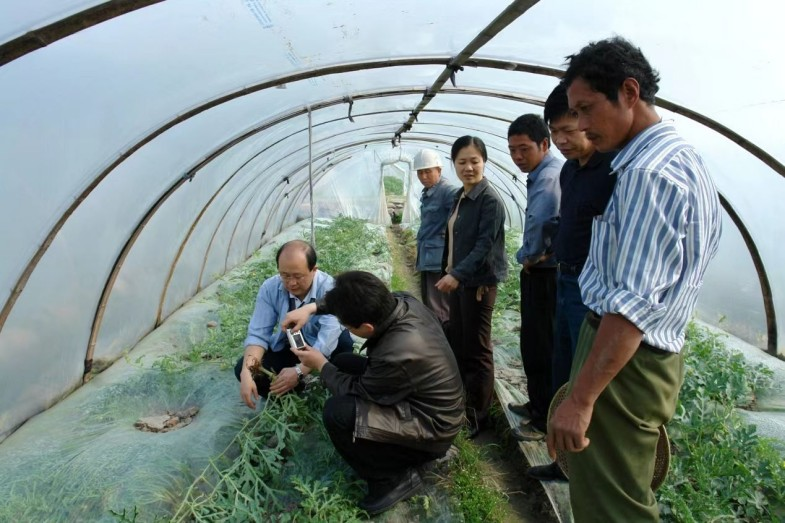 河北西瓜基地在哪_河北露地西瓜种植技术_西瓜河北种植露地技术要求