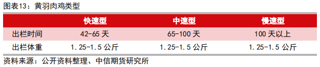 肉鸡养殖工艺流程_肉鸡养鸡技术_三黄肉鸡养殖技术