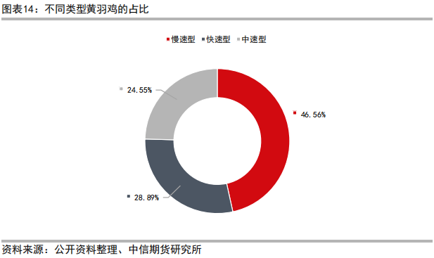 肉鸡养殖工艺流程_三黄肉鸡养殖技术_肉鸡养鸡技术