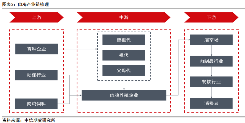 三黄肉鸡养殖技术_肉鸡养殖工艺流程_肉鸡养鸡技术