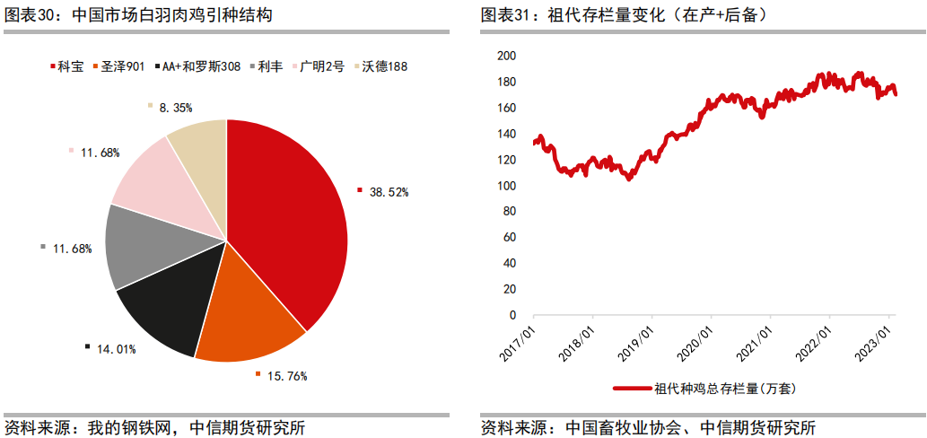 肉鸡养殖工艺流程_肉鸡养鸡技术_三黄肉鸡养殖技术