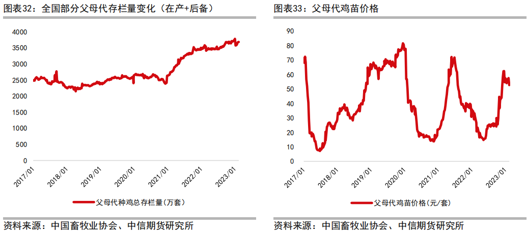 肉鸡养殖工艺流程_三黄肉鸡养殖技术_肉鸡养鸡技术