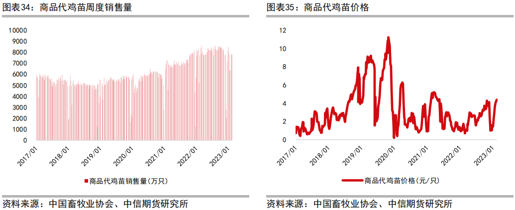 肉鸡养殖工艺流程_三黄肉鸡养殖技术_肉鸡养鸡技术