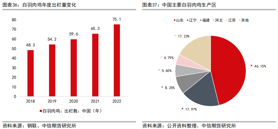 三黄肉鸡养殖技术_肉鸡养殖工艺流程_肉鸡养鸡技术