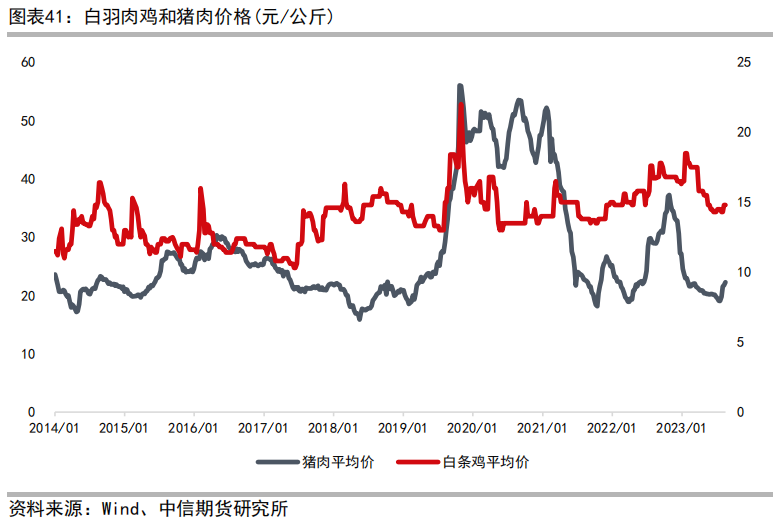 肉鸡养殖工艺流程_肉鸡养鸡技术_三黄肉鸡养殖技术