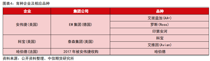 肉鸡养鸡技术_三黄肉鸡养殖技术_肉鸡养殖工艺流程