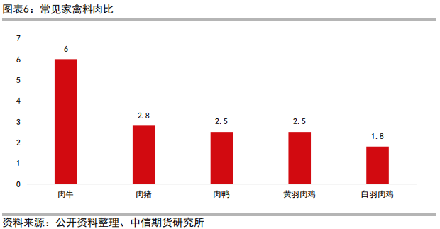 三黄肉鸡养殖技术_肉鸡养鸡技术_肉鸡养殖工艺流程