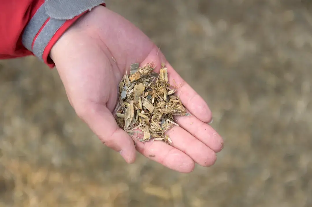 致富经秸秆变废为宝_致富秸秆种植技术视频_秸秆种植致富技术