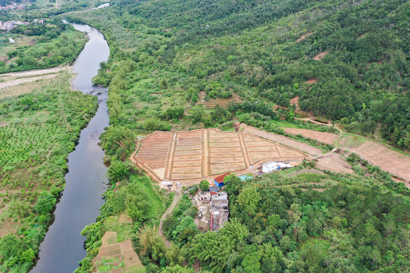 防城区：蚯蚓养殖为乡村振兴发展增添新动能【3】