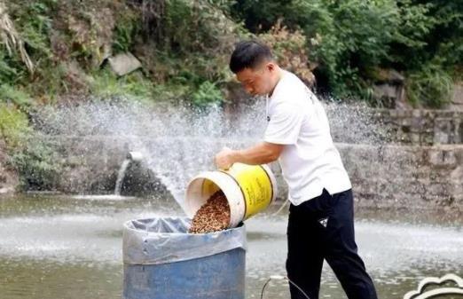 草鱼鱼的养殖技术_养殖草鱼的技术_养殖草鱼鱼技术与管理