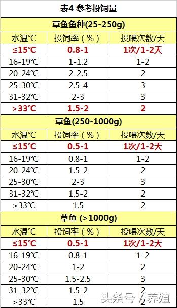 养殖草鱼鱼技术视频教程_草鱼鱼的养殖技术_养草鱼技术指导