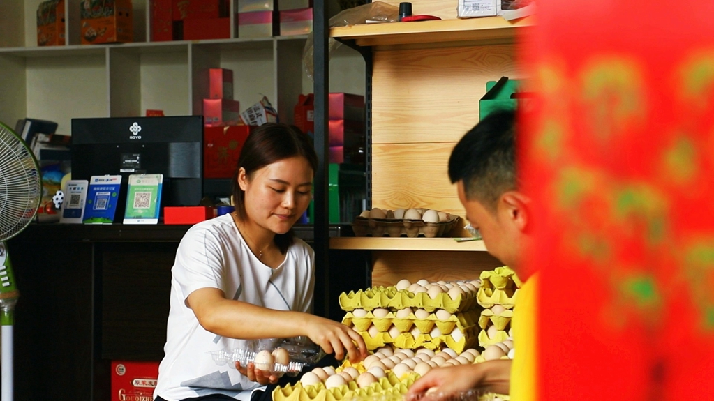 鸡场养殖致富视频_视频致富养殖鸡场在线观看_致富项目养鸡