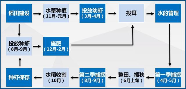 龙虾养殖教程书_龙虾养殖技术大全视频教程_小龙虾养殖技术哪里学