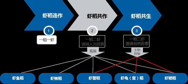 小龙虾养殖技术哪里学_龙虾养殖教程书_龙虾养殖技术大全视频教程