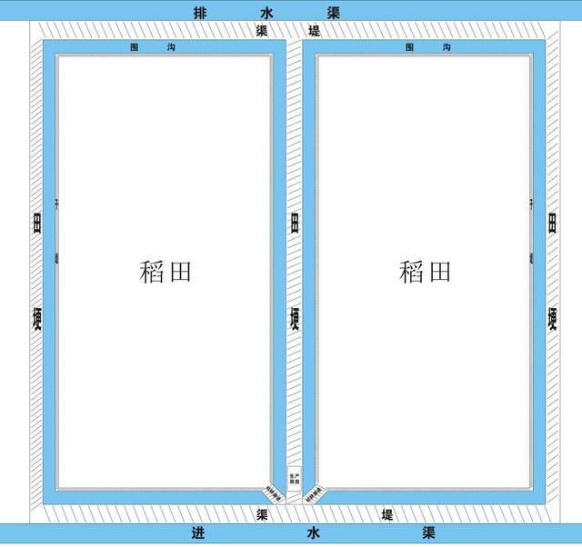 龙虾养殖教程书_小龙虾养殖技术哪里学_龙虾养殖技术大全视频教程