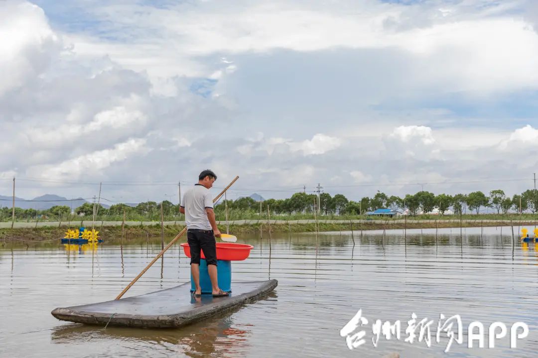 血蛤养殖致富_血蛤养殖致富_血蛤养殖致富