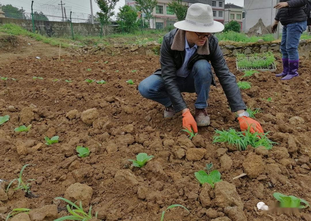 致富经种植业完整版_种植致富案例_银行支持种植致富