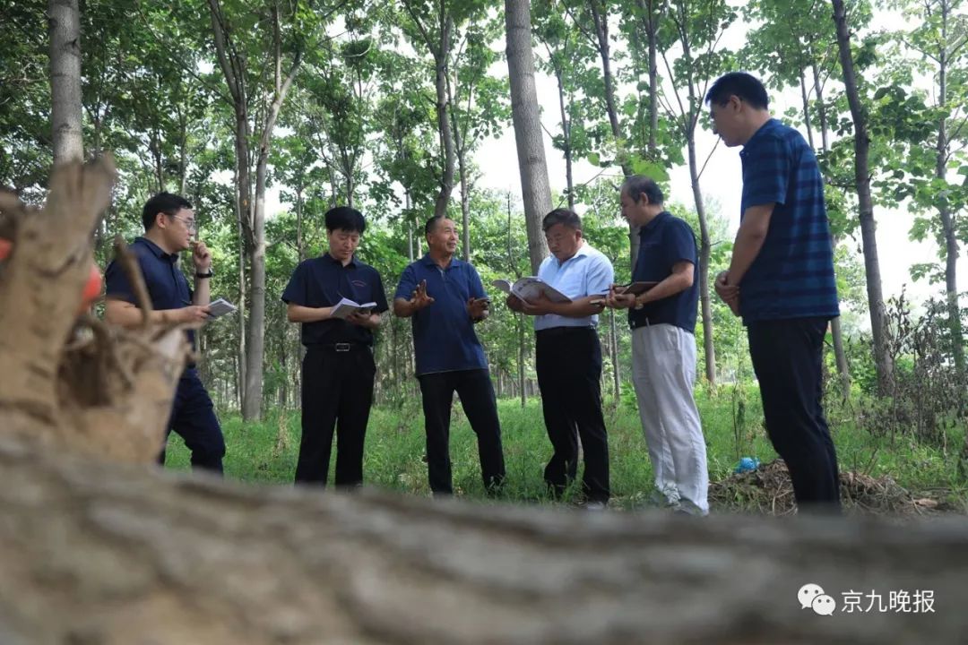 致富经北京大樱桃_致富经樱桃种植视频_致富经大樱桃种植视频