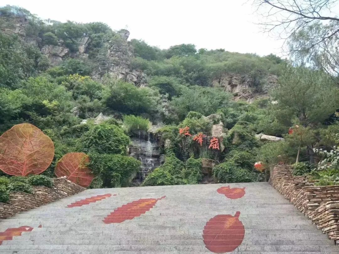 致富草根种植技术视频_草根怎么种植致富_草根致富案例