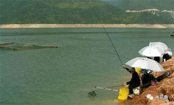 浅谈水库养鱼的方法