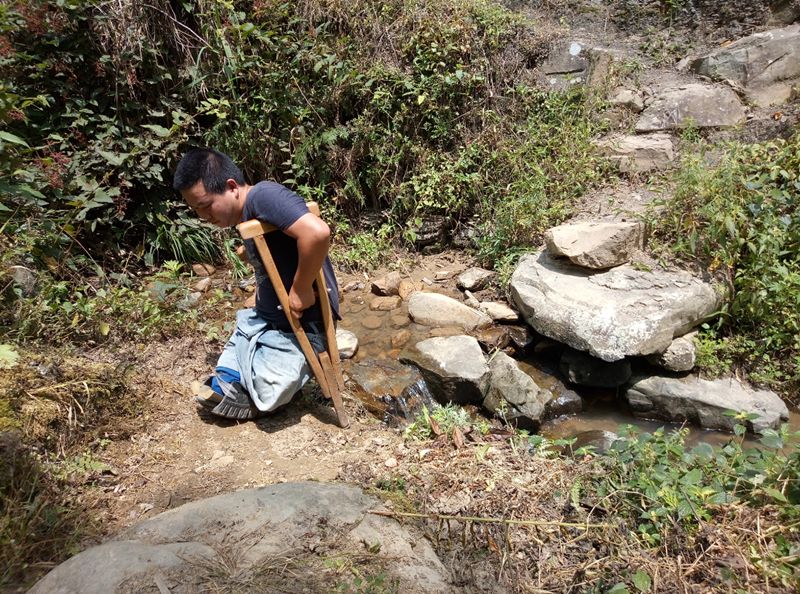 种植药材致富措施_致富药材种植措施是什么_致富药材种植措施