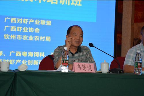 广西2022年上半年对虾养殖技术经验交流会在钦召开：广西养虾损失9成