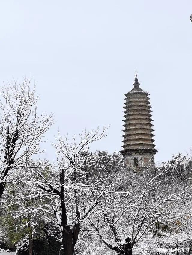 河北种植什么最赚钱_河北致富项目_河北易县种植致富