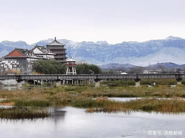 河北种植什么最赚钱_河北致富项目_河北易县种植致富