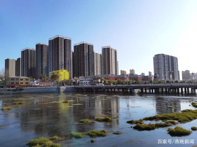 河北种植什么最赚钱_河北致富项目_河北易县种植致富