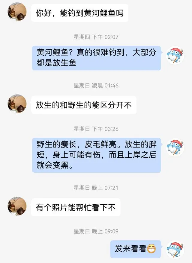 理鱼养殖技术与图片_养理鱼需要什么条件和技术_养殖鲤鱼赚钱吗