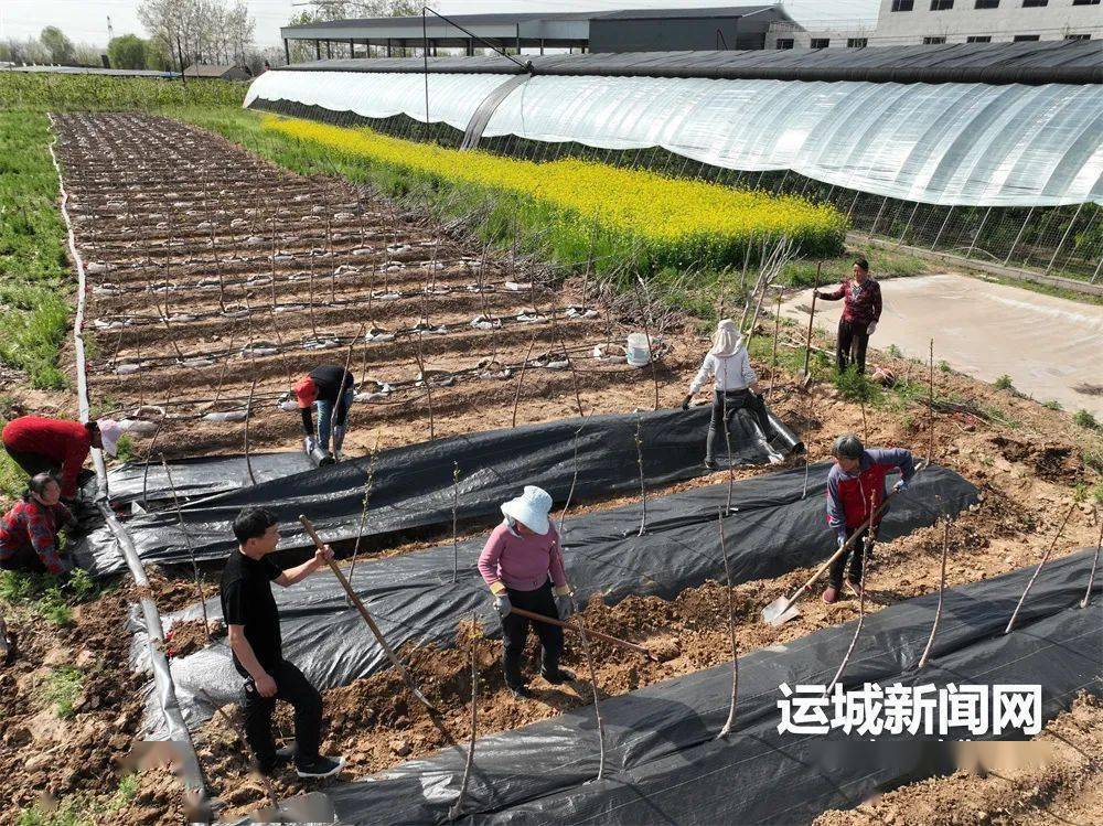 致富种植农业设备有哪些_农业种植致富设备_农村致富新项目种植业