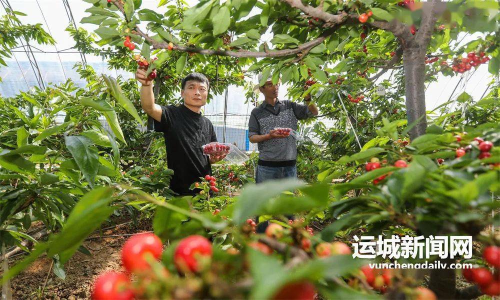 农业种植致富设备_致富种植农业设备有哪些_农村致富新项目种植业