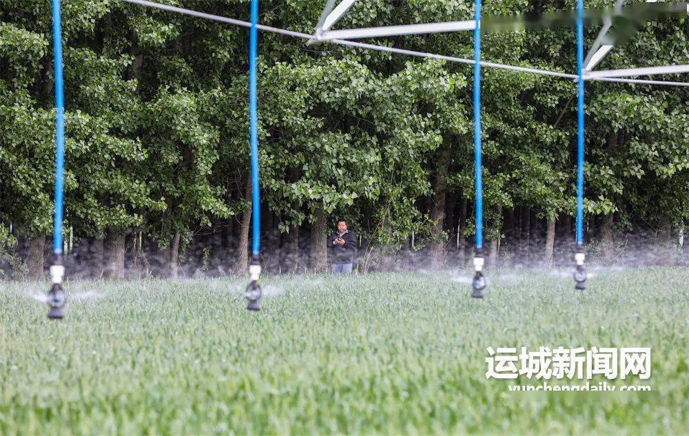 农村致富新项目种植业_农业种植致富设备_致富种植农业设备有哪些