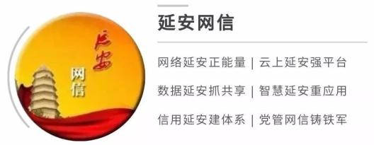 农民种苹果_苹果种植50亩收入收益_农村种植苹果致富