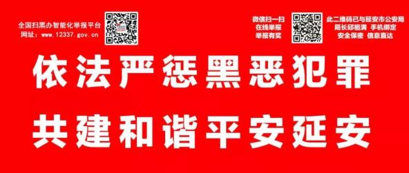 农民种苹果_农村种植苹果致富_苹果种植50亩收入收益