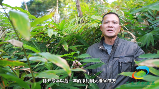 越南种植什么农作物_越南种植致富项目_越南种植业