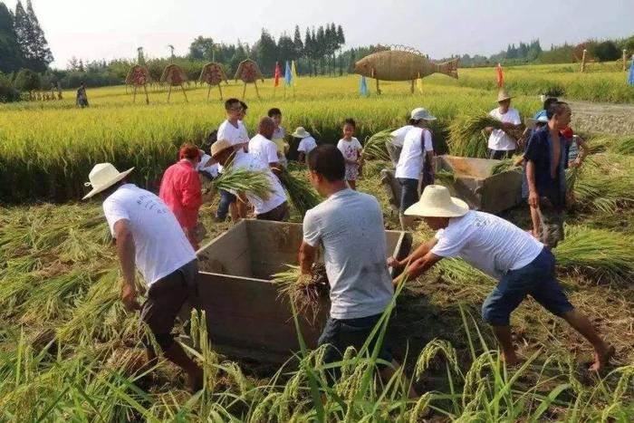 一家养鸡场的商业实践：循环农业+农旅结合（附案例剖析）