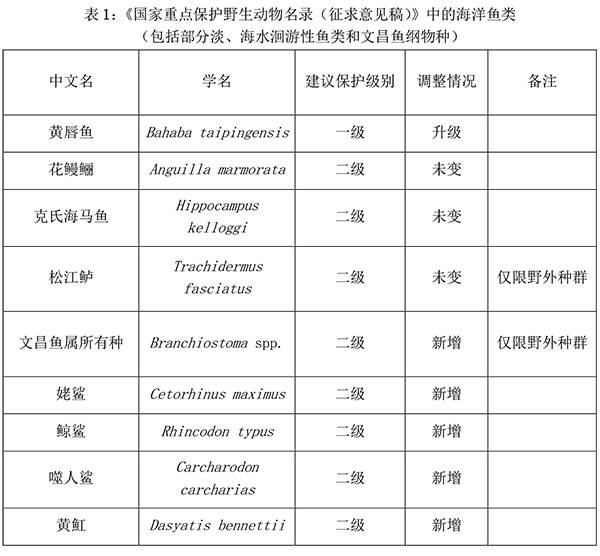 地球的一半｜那些上了重点保护名录的海鱼