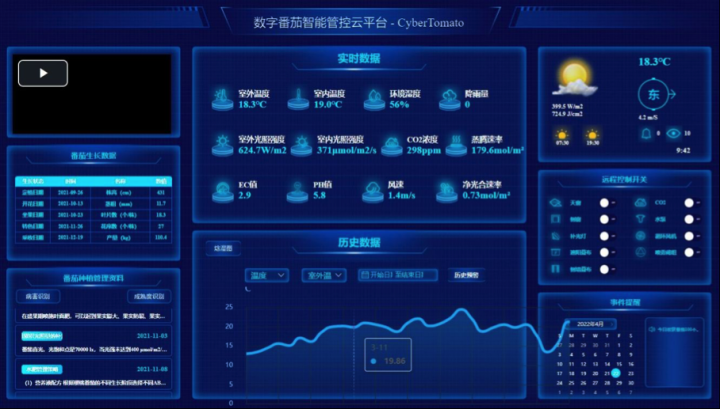 西红柿产量种植管理技术要求_西红柿种植技术与管理产量_西红柿种植产量高